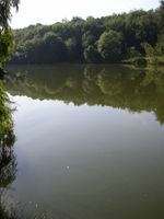 Šárecký potok 2-ú.n.Džbán 3.6.05 015.jpg